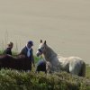 (086) Rando 24-25 mars 2018 dans le Porzay