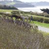(086) Rando 24-25 mars 2018 dans le Porzay