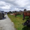 (086) Rando 24-25 mars 2018 dans le Porzay