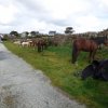 (086) Rando 24-25 mars 2018 dans le Porzay
