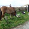 (086) Rando 24-25 mars 2018 dans le Porzay