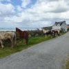 (086) Rando 24-25 mars 2018 dans le Porzay