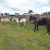 (086) Rando 24-25 mars 2018 dans le Porzay