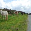 (086) Rando 24-25 mars 2018 dans le Porzay