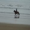 (086) Rando 24-25 mars 2018 dans le Porzay