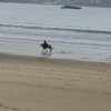 (086) Rando 24-25 mars 2018 dans le Porzay