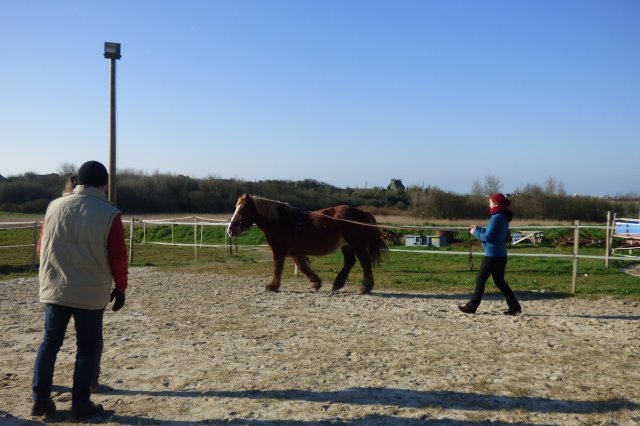 (085) Stage initiation attelage
