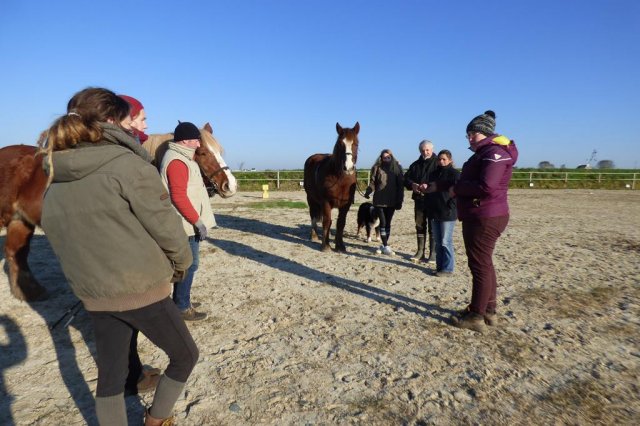 (085) Stage initiation attelage