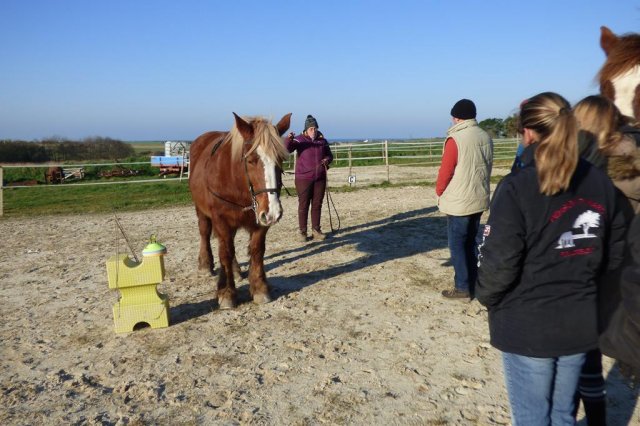 (085) Stage initiation attelage