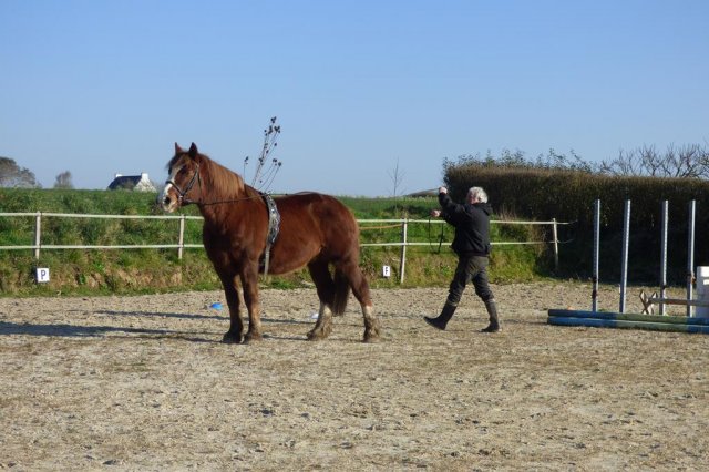 (085) Stage initiation attelage
