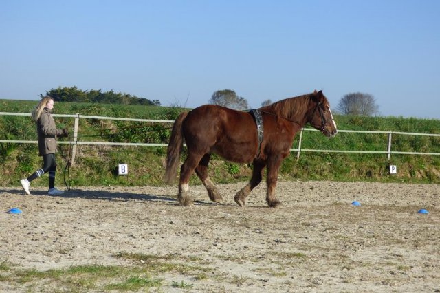 (085) Stage initiation attelage