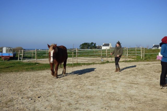 (085) Stage initiation attelage