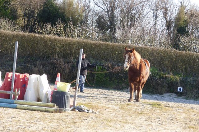 (085) Stage initiation attelage
