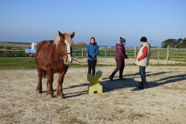 (085) Stage initiation attelage
