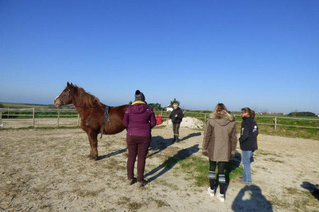 (085) Stage initiation attelage