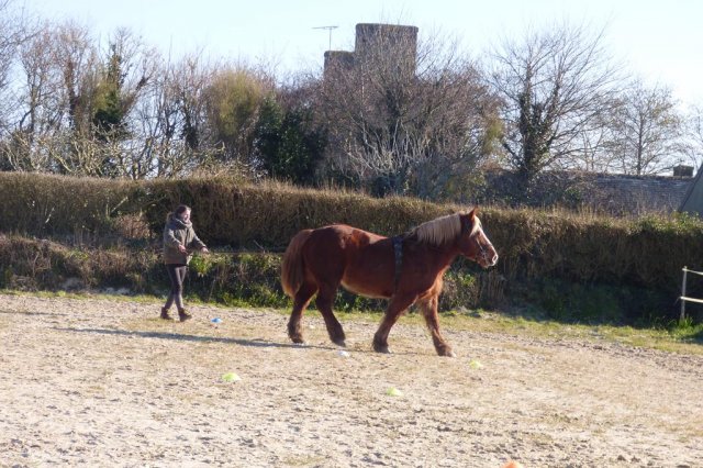 (085) Stage initiation attelage