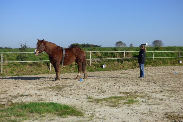 (085) Stage initiation attelage