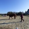 (085) Stage initiation attelage