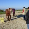 (085) Stage initiation attelage