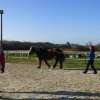 (085) Stage initiation attelage