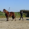 (085) Stage initiation attelage
