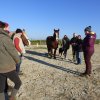 (085) Stage initiation attelage