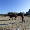 (085) Stage initiation attelage