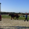 (085) Stage initiation attelage