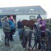 (085) Stage initiation attelage