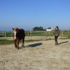 (085) Stage initiation attelage