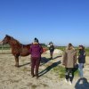 (085) Stage initiation attelage