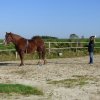 (085) Stage initiation attelage