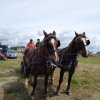 087-VIDE-GRANGE 5 MAI 2018-POULDREUZIC