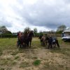087-VIDE-GRANGE 5 MAI 2018-POULDREUZIC