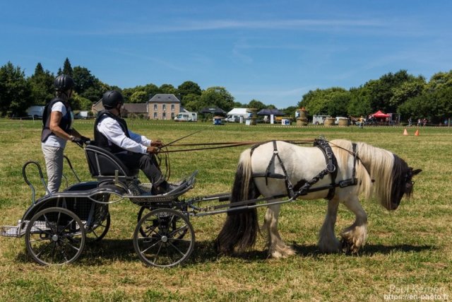 (099)Concours attelage.Scaer 6-7 juillet 2019