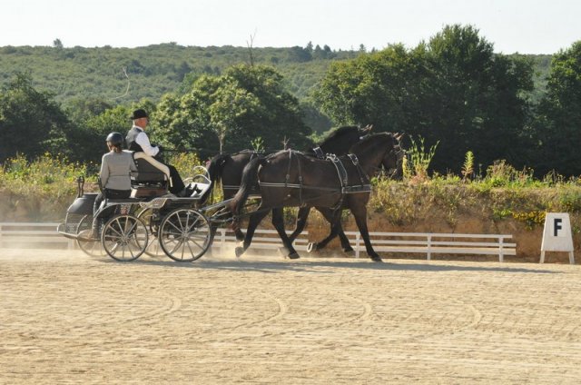 (099)Concours attelage.Scaer 6-7 juillet 2019