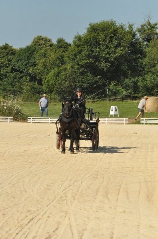 (099)Concours attelage.Scaer 6-7 juillet 2019