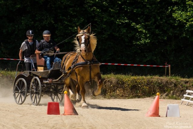 (099)Concours attelage.Scaer 6-7 juillet 2019