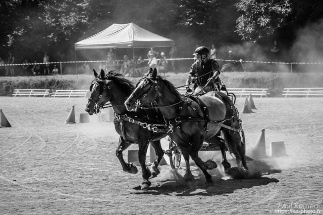(099)Concours attelage.Scaer 6-7 juillet 2019