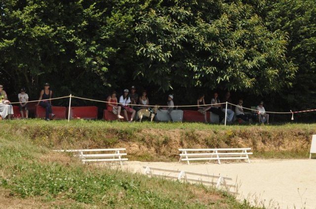 (099)Concours attelage.Scaer 6-7 juillet 2019