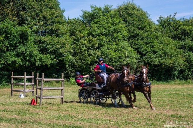 (099)Concours attelage.Scaer 6-7 juillet 2019