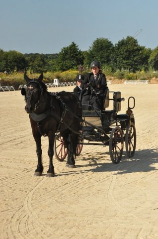 (099)Concours attelage.Scaer 6-7 juillet 2019