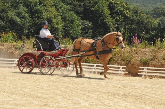 (099)Concours attelage.Scaer 6-7 juillet 2019