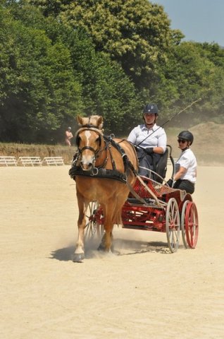(099)Concours attelage.Scaer 6-7 juillet 2019
