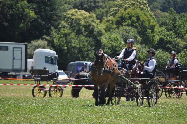 (099)Concours attelage.Scaer 6-7 juillet 2019