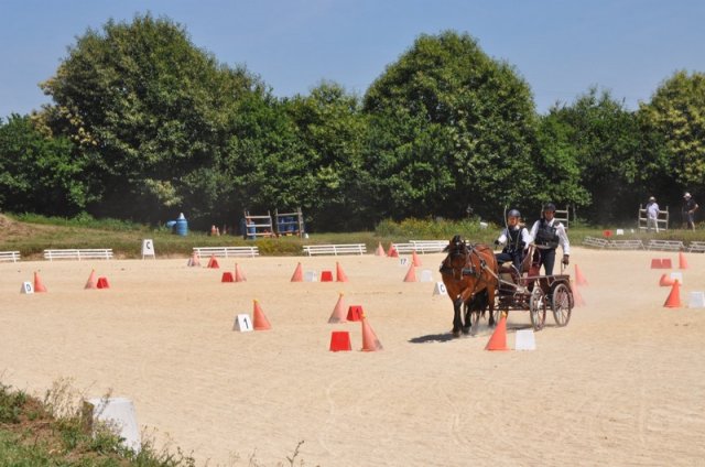 (099)Concours attelage.Scaer 6-7 juillet 2019