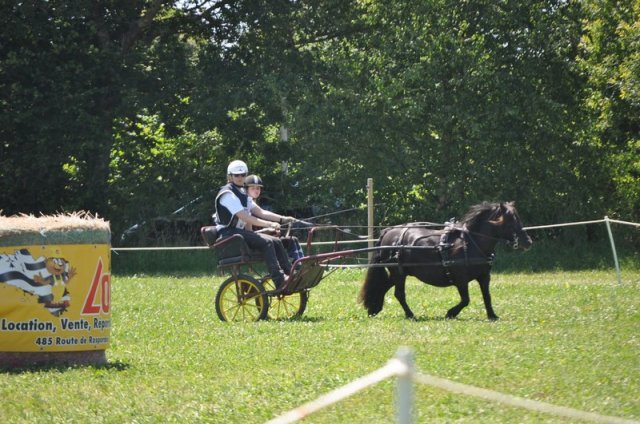 (099)Concours attelage.Scaer 6-7 juillet 2019
