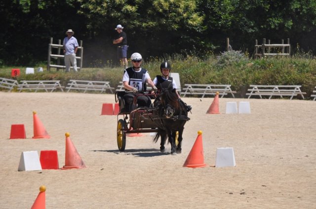 (099)Concours attelage.Scaer 6-7 juillet 2019