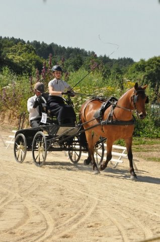 (099)Concours attelage.Scaer 6-7 juillet 2019