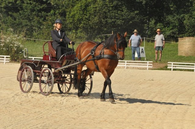 (099)Concours attelage.Scaer 6-7 juillet 2019